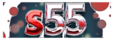 s 55 logo